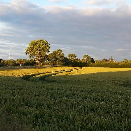 Ferienwohnung "Bittner" Altratjensdorf Buitenkant foto